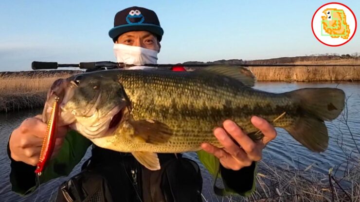 ブラックバス イチエンのおっちょこちょい釣り