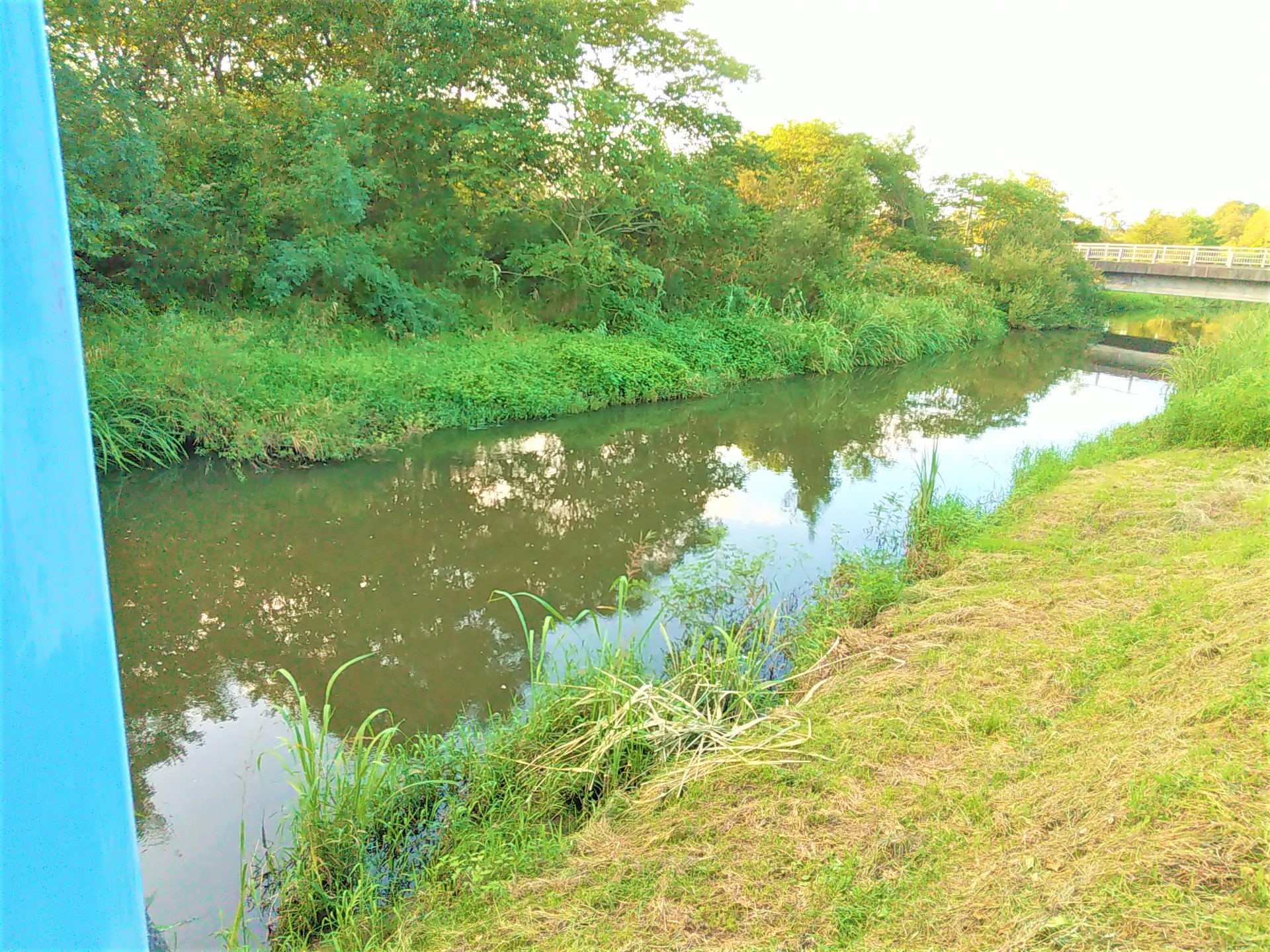 青森県三沢市ブラックバスが釣れる場所ランキングベスト5は?