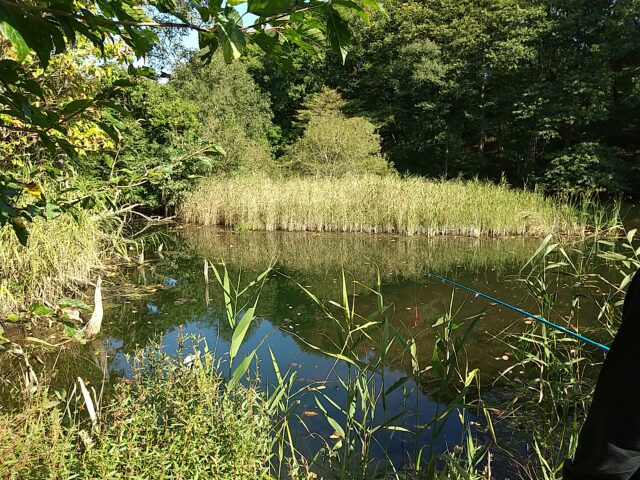 姉沼・通行止め付近の野池（鉄塔） 青森県三沢市ブラックバスが釣れる場所
