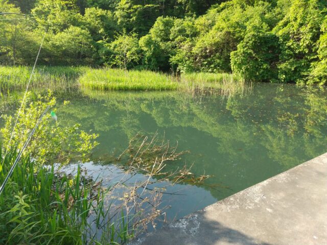 姉沼・ワカサギ釣り場付近の野池 青森県三沢市ブラックバスが釣れる場所