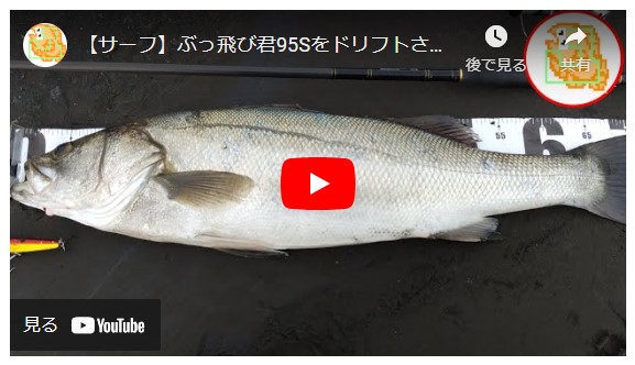 【サーフ】ぶっ飛び君95Sをドリフトさせてシーバスを釣る！