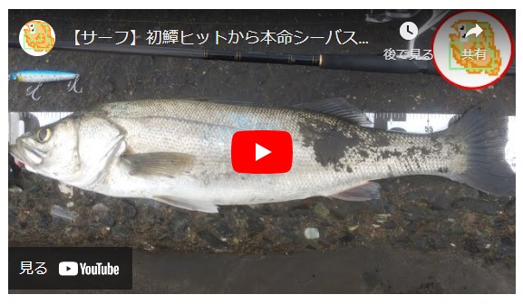 【サーフ】初鱏キャッチから本命シーバスをぶっ飛び君95Sで釣り上げる！