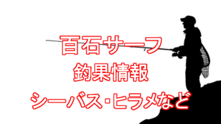 【百石サーフ】釣り情報!ヒラメ・シーバス・青物が釣れる青森県太平洋