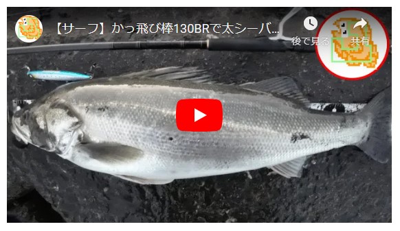 【サーフ】かっ飛び棒130BRで太シーバスを釣り上げる！