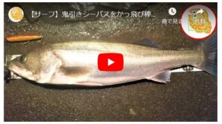 【サーフ】鬼引きシーバスをかっ飛び棒130BRで釣り上げる！