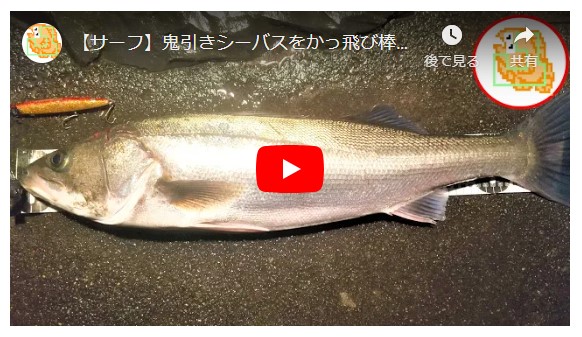 【サーフ】鬼引きシーバスをかっ飛び棒130BRで釣り上げる！