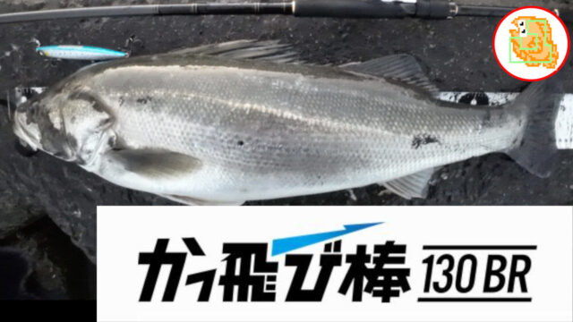 【ジャンプライズ】 かっ飛び棒130BRの使い方と釣果をまとめました！