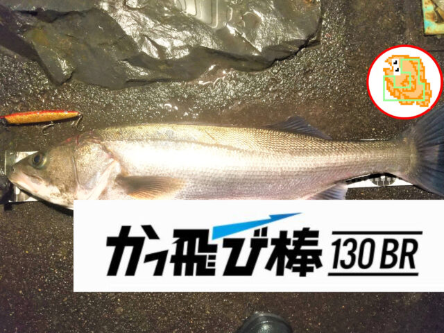 【ジャンプライズ】 かっ飛び棒130BRの使い方と釣果をまとめました！