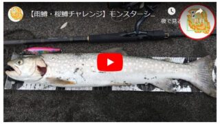 【雨鱒・桜鱒チャレンジ】モンスターショット80Sで初海アメを釣り上げる！