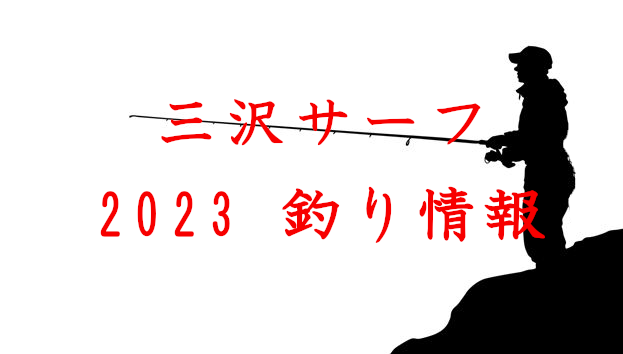 【三沢サーフ】2023 釣り情報！ヒラメ・シーバス・青物・サクラマス・アメマスが釣れる！