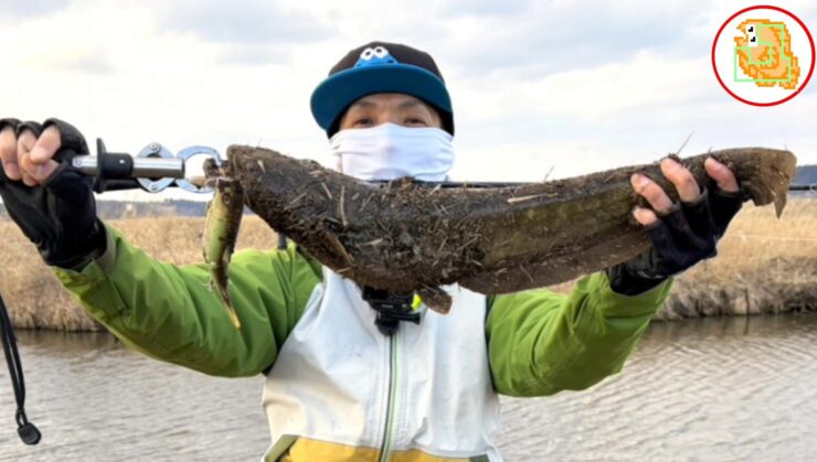 ナマズ釣り イチエン