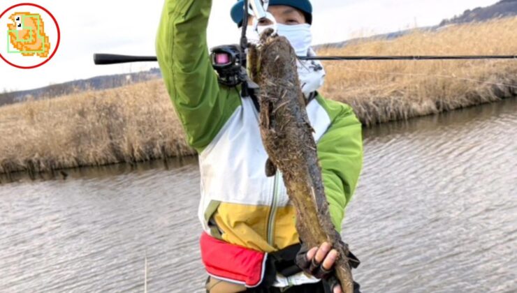 ナマズ釣り イチエン