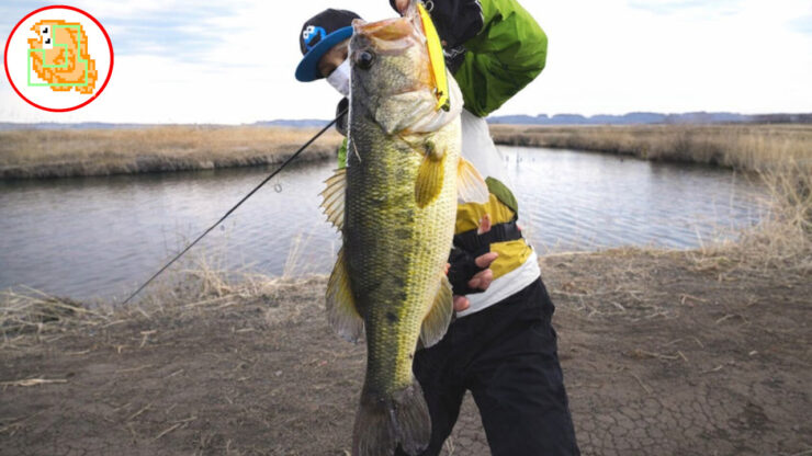 ブラックバス おすすめタックル