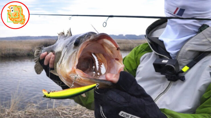 ブラックバス おすすめタックル