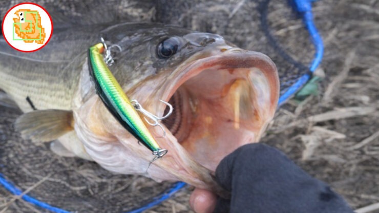 ブラックバス おすすめタックル