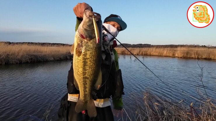 ブラックバス タックル おすすめ