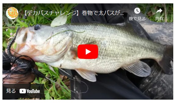 【デカバスチャレンジ】巻物で太バス釣れました！