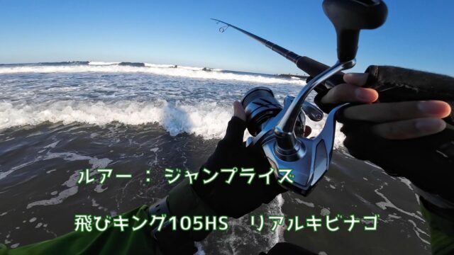 飛びキング105hs_213_リアルキビナゴ