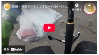 雨鱒・桜鱒チャレンジ│だーれもいないサーフで一発ドン！！
