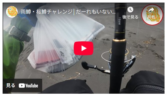 雨鱒・桜鱒チャレンジ│だーれもいないサーフで一発ドン！！