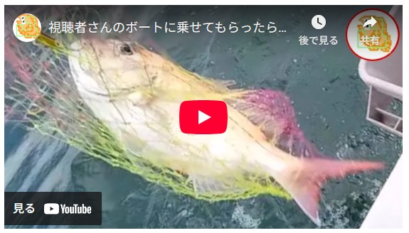 視聴者さんのボートに乗せてもらったら楽しすぎた！初めてのオフショアジギング！