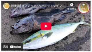 陸奥湾│オフショア・リベンジ！ジギングが楽しすぎる！！