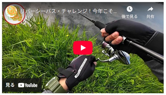 リバーシーバス・チャレンジ！今年こそ釣ったります！！