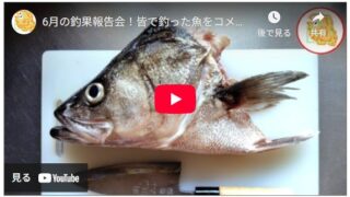 6月の釣果報告会！YouTube LIVE で配信！