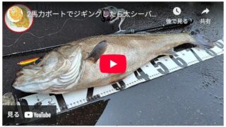 2馬力ボートでジギングしたら太シーバス釣れました！ #ランカーシーバス #オフショア
