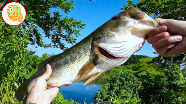 癒しのバス釣り!エントリーモデルでも太バス釣れます! #バスワンXT