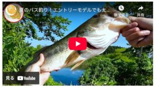 夏のバス釣り！エントリーモデルでも太バス釣れます！ #バスワンXT