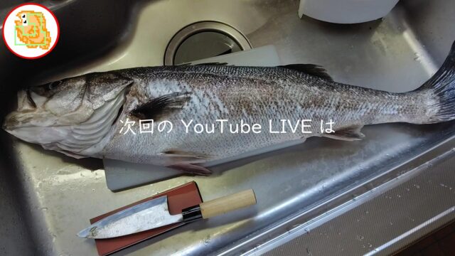 告知 次回のyoutubeライブ
