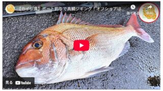 【カイジ風】ボート釣りで真鯛ジギング！オフショアは夢の塊！