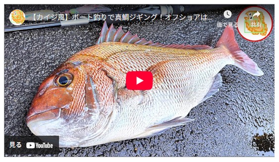 【カイジ風】ボート釣りで真鯛ジギング！オフショアは夢の塊！