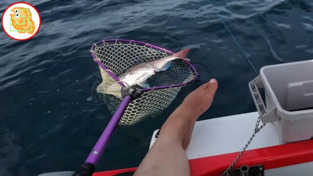 【カイジ風】ボート釣りで真鯛ジギング！オフショアは夢の塊！