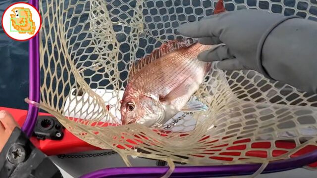 【カイジ風】ボート釣りで真鯛ジギング！オフショアは夢の塊！