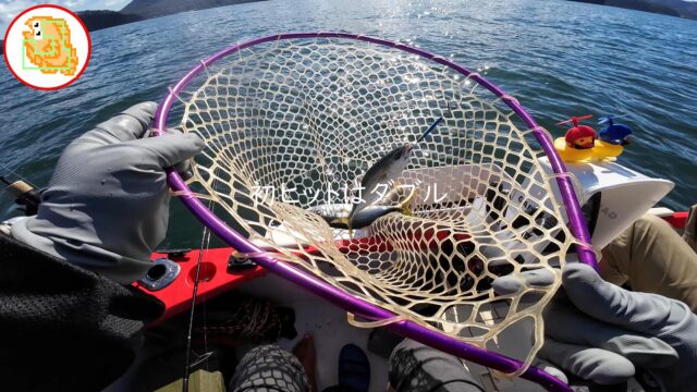 【陸奥湾】二枚潮&サゴシカッターの洗礼を浴びるも初釣りのお魚に感激! #オフショア #ジギング #2馬力ボート