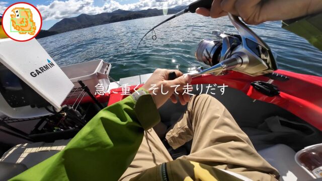 【陸奥湾】二枚潮&サゴシカッターの洗礼を浴びるも初釣りのお魚に感激! #オフショア #ジギング #2馬力ボート