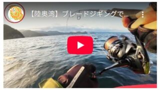 【陸奥湾】ブレードジギングでサゴシ・サワラ調査！船長は五目釣り達成！！