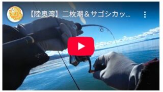 【陸奥湾】二枚潮＆サゴシカッターの洗礼を浴びるも初釣りのお魚に感激！ #オフショア #ジギング #2馬力ボート