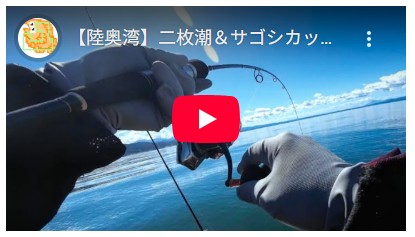 【陸奥湾】二枚潮&サゴシカッターの洗礼を浴びるも初釣りのお魚に感激! #オフショア #ジギング #2馬力ボート