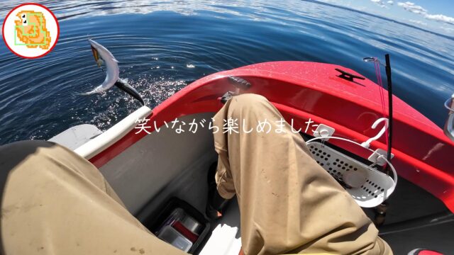 【陸奥湾】二枚潮&サゴシカッターの洗礼を浴びるも初釣りのお魚に感激! #オフショア #ジギング #2馬力ボート