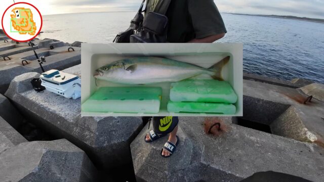 【かっ飛び棒】ショアから青物チャレンジ！ #堤防釣り #突堤 #サーフ