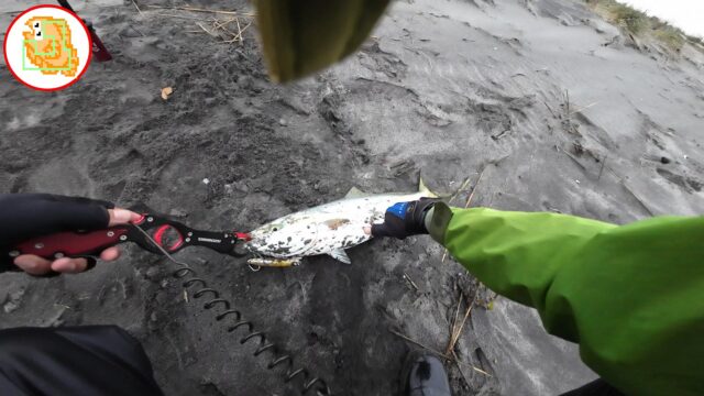 ワラサ サーフ かっ飛び棒