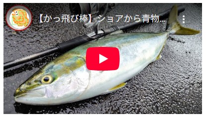 【かっ飛び棒】ショアから青物チャレンジ！ #堤防釣り #突堤 #サーフ