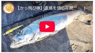 【かっ飛び棒】直感を信じて開始2投でシーバスドン！ #サーフ #釣り #ジャンプライズ