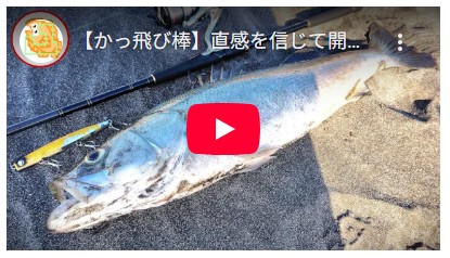 【かっ飛び棒】直感を信じて開始2投でシーバスドン！ #サーフ #釣り #ジャンプライズ