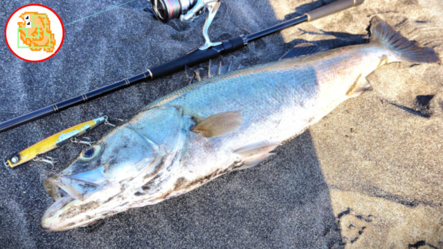 かっ飛び棒 サーフシーバス ジャンプライズ