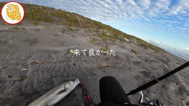 【かっ飛び棒】直感を信じて開始2投でシーバスドン！ #サーフ #釣り #ジャンプライズ