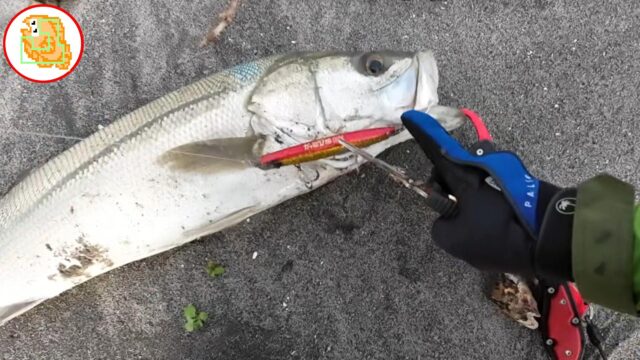 8割バレない"かっ飛び棒"フックセッティング！シーバス・青物・ヒラメで検証済み！【レジェンド直伝】 #サーフ #フックセッティング